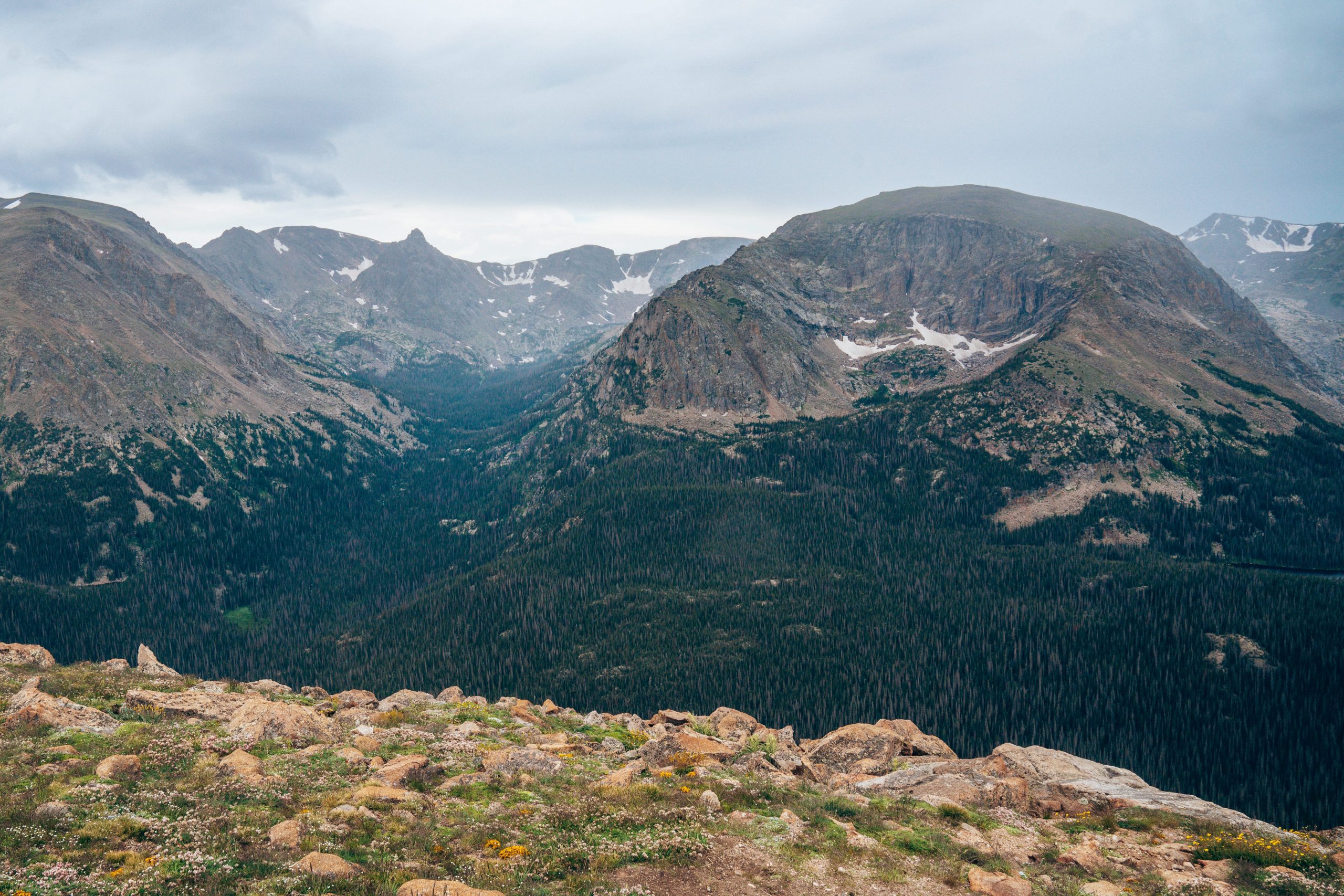 Forest Canyon Overlook