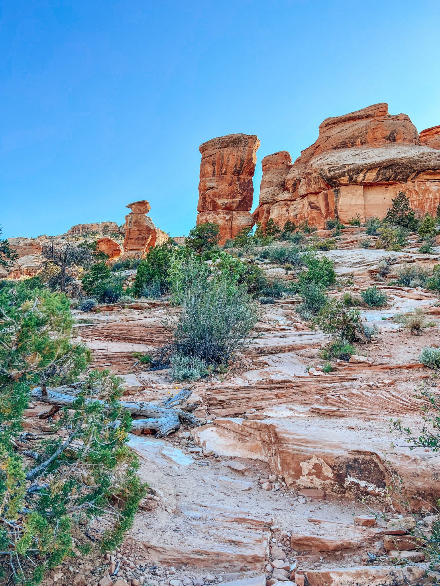 How to Hike (and Not Get Lost!) on the Devils Kitchen Trail in Colorado ...