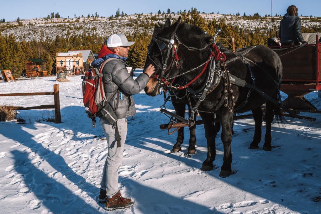 Tim with horses and a red sleigh in snow