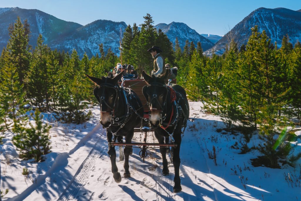 Horse drawn sleigh ride in Frisco Colorado