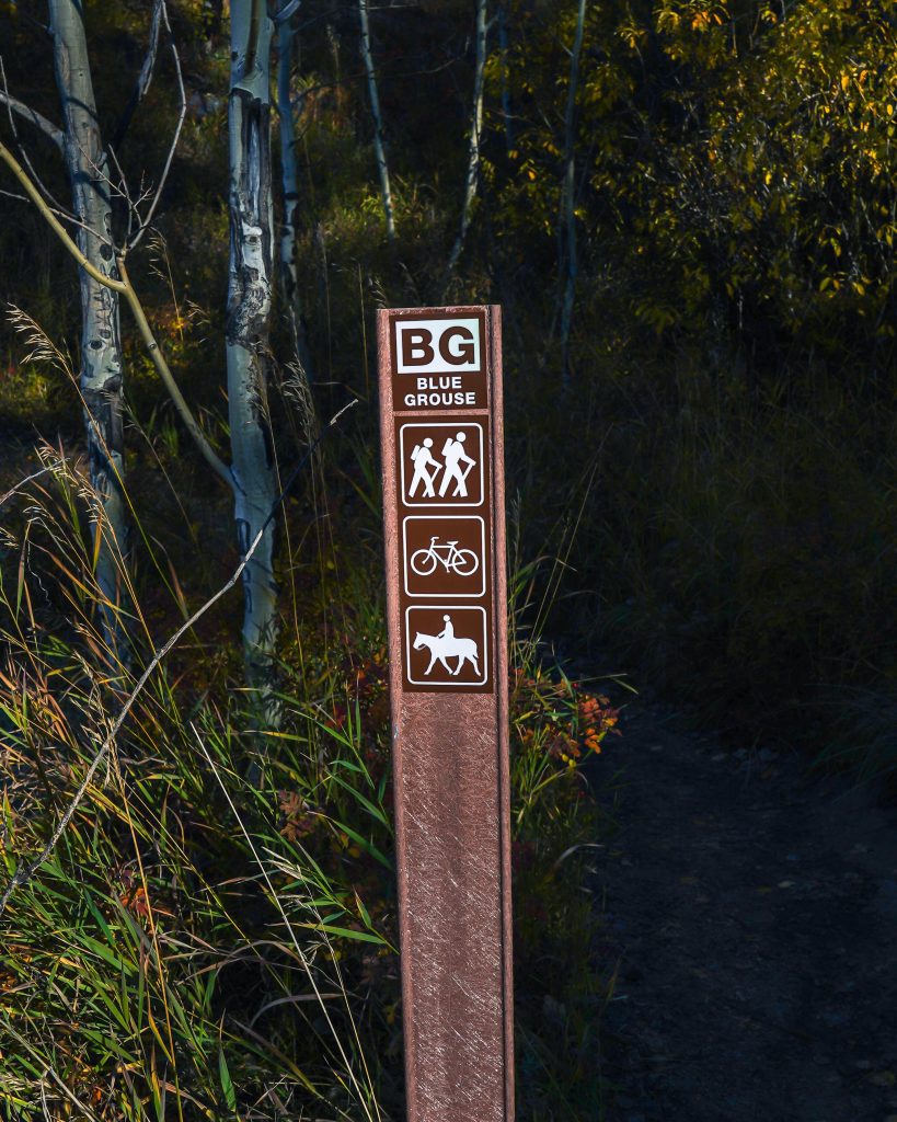 Blue Grouse Trail Sign Golden Gate Canyon State Park