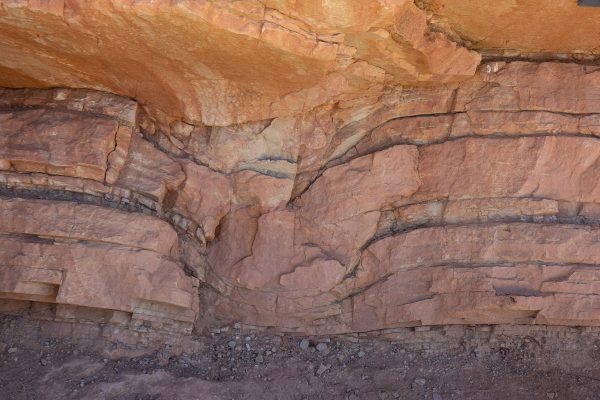 Dinosaur Ridge Subset Dinosaur Ridge – The Best Dinosaur Track Site in the World – That ...