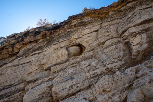 Dinosaur Ridge – The Best Dinosaur Track Site in the World – That ...