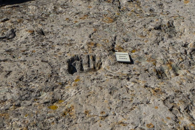 Dinosaur Ridge Subset Dinosaur Ridge – The Best Dinosaur Track Site in the World – That ...