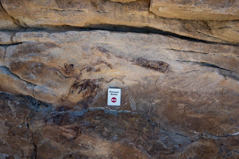 Dinosaur Ridge – The Best Dinosaur Track Site in the World – That ...