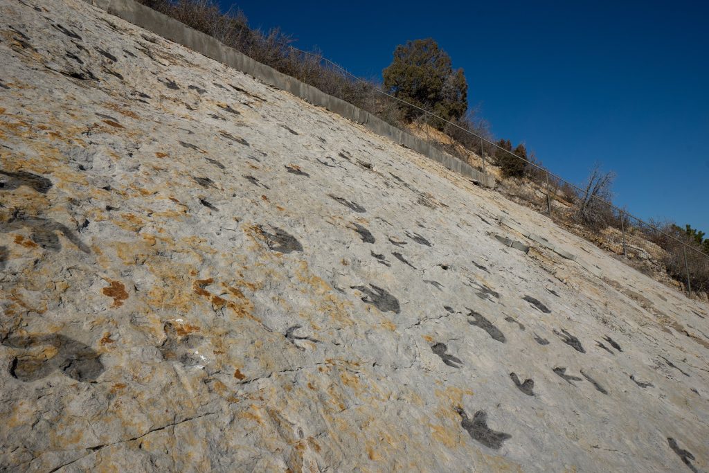 Dinosaur Tracks on Dinosaur Ridge