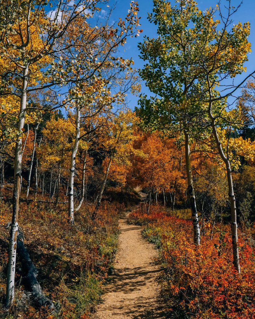 Raccoon Trail Golden Gate Canyon State Park in Fall