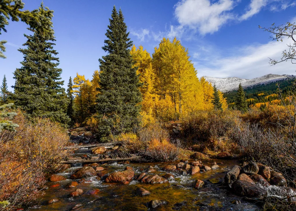 Embark on These 12 Breathtaking Colorado Fall Hikes for 2024