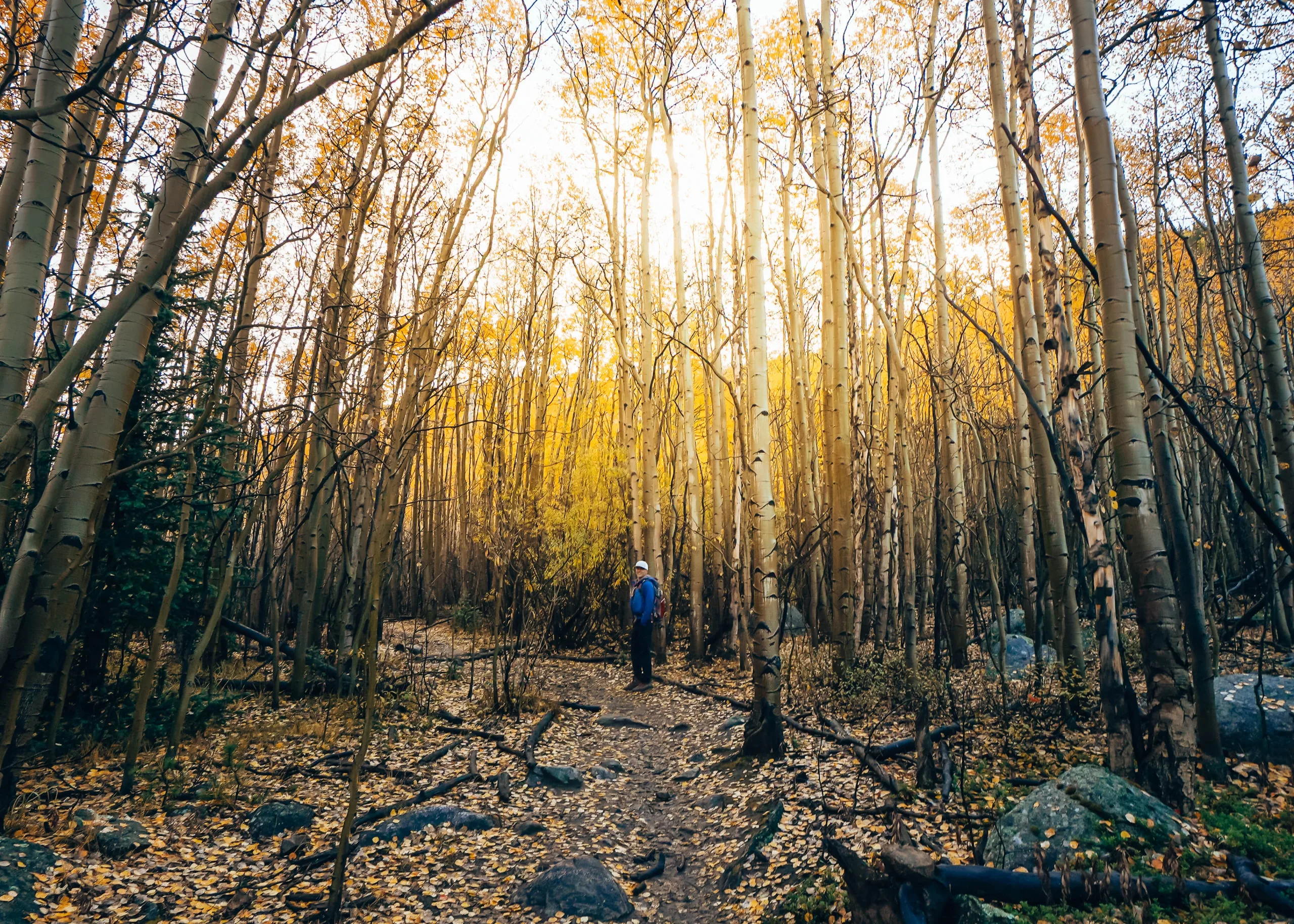 Hiking the Abyss Trail in Colorado during fall