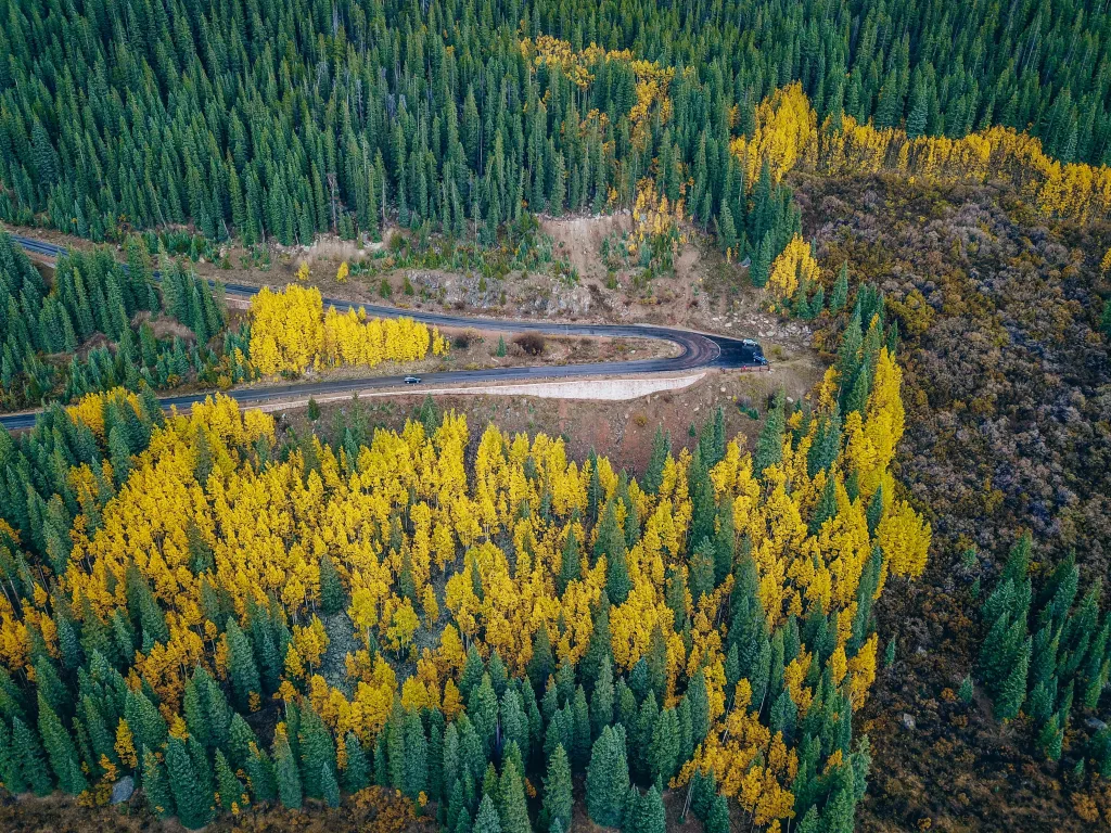 When and Where to See Peak Colorado Fall Colors 2024 + MAP